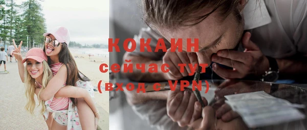 спайс Алексин