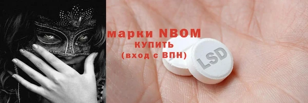 хмурый Алзамай