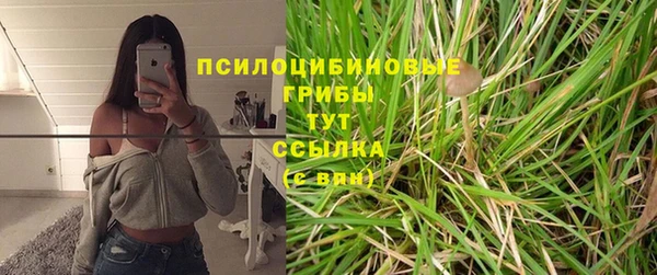 хмурый Алзамай