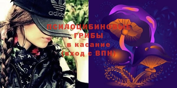 СК Алексеевка