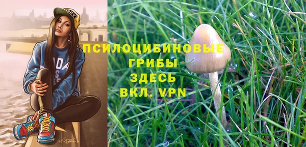 СК Алексеевка